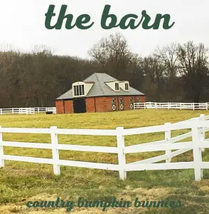 thebarn