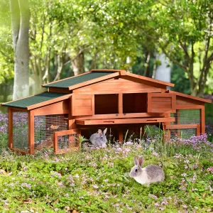 Outdoor RabbitHutchStyle2