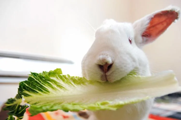 Screen Shot 2024 04 05 at 7.16.01 PM