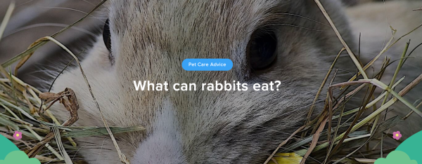 Screen Shot 2024 04 05 at 7.21.45 PM