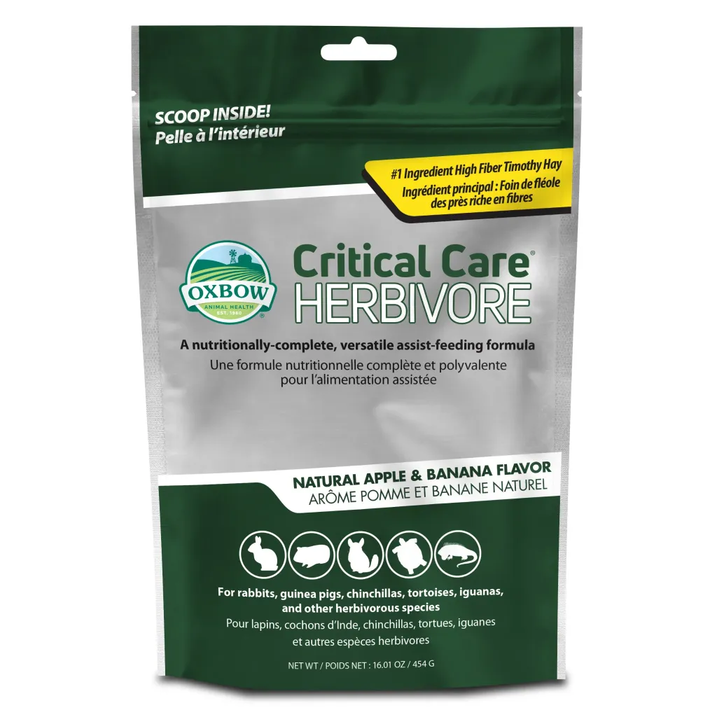 critical care