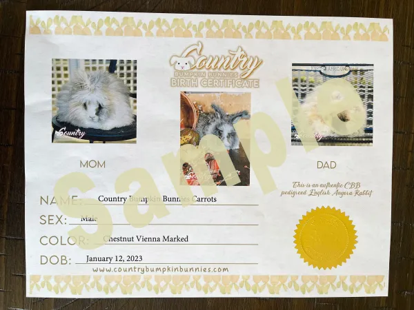 sampleBirthCertificate