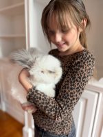 equator princelouie frosty1 1 26 25