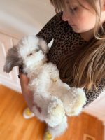 equator princelouie frosty2 1 26 25