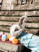 carrots licorice lulu5 3 20 26