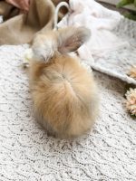 Maddie Tatertot Bloom3 7 6 26