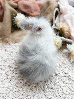 Maddie Tatertot Mojo1 7 6 26