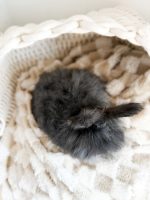 laineyWilson ChocolateMilk pepper a2 2 19 26